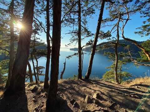 Sun streaking through the trees at Deception Pass State Park