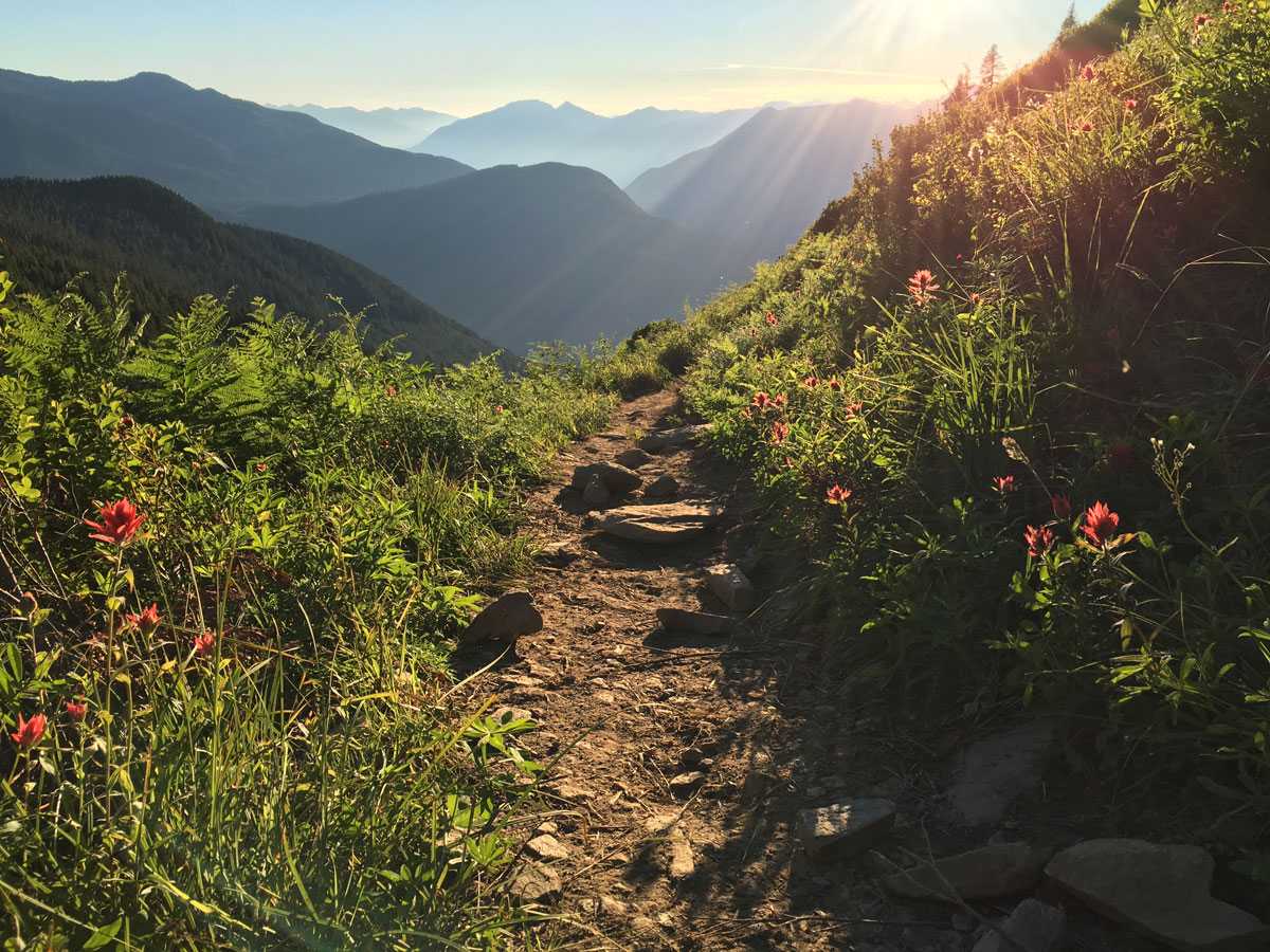 Trail magic in the North Cascades