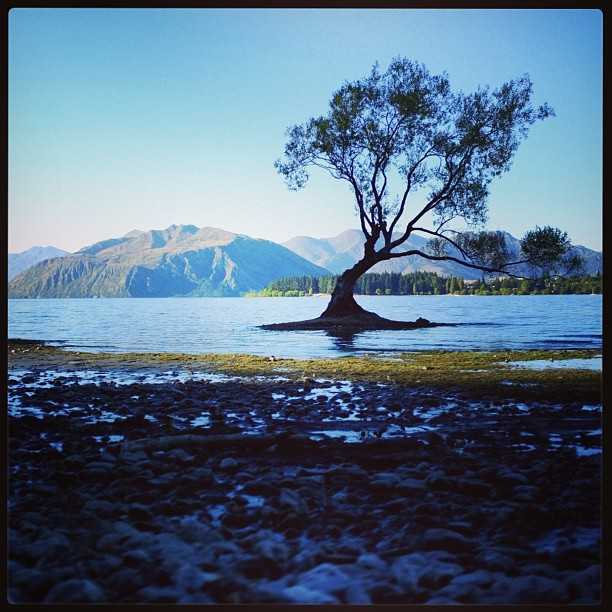 Magical Lake Wanaka